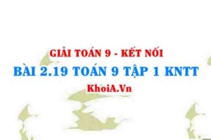 Bài 2.19 SGK Toán 9 tập 1 Kết nối tri thức